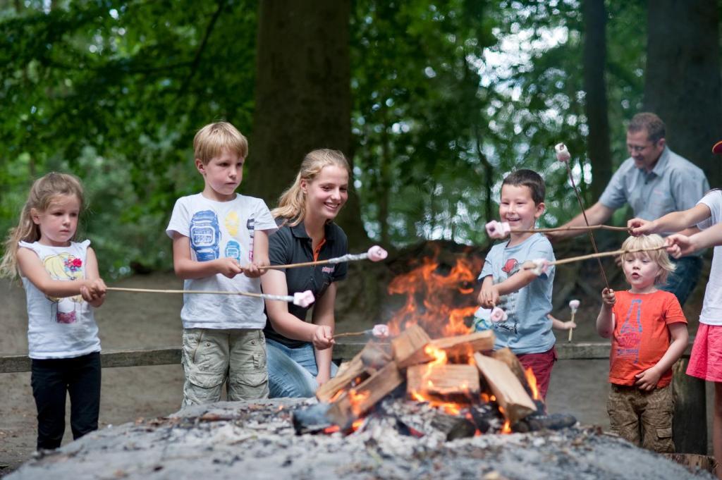 Stayokay Hostel Gorssel - Deventer Kring van Dorth Esterno foto